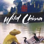 دانلود سریال Wild China